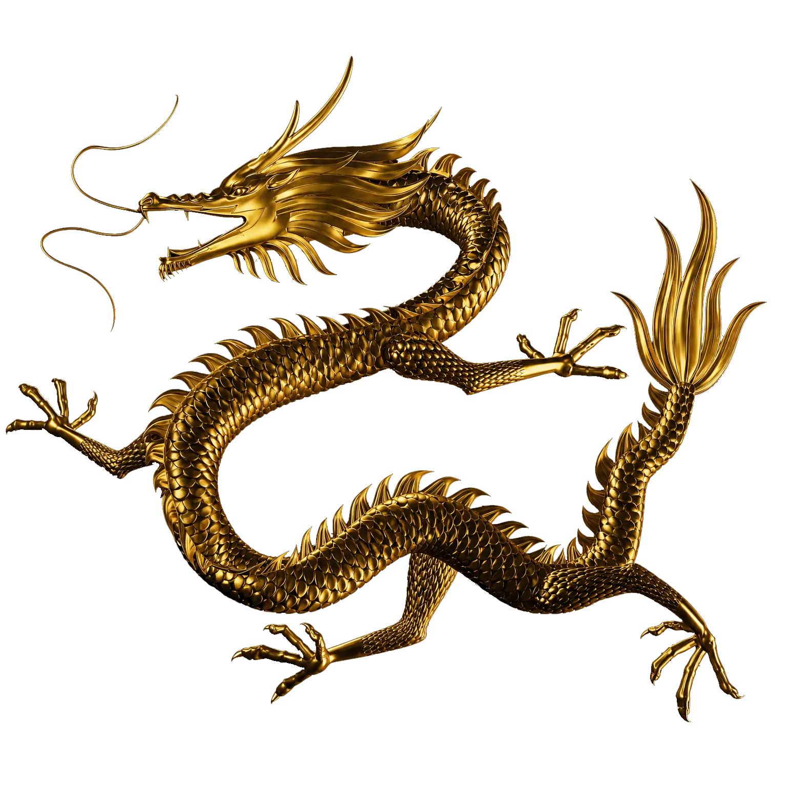 Header Dragon
